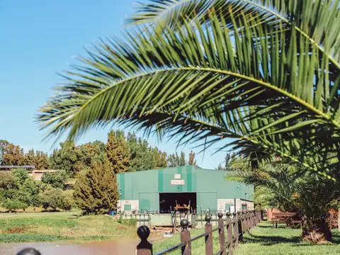 Terreno en Venta de 984,0 m2