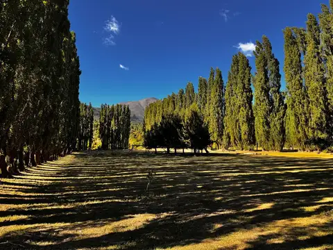 Ruta 40 y Circunvalación