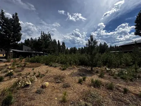 Terreno en Venta de 1236,0 m2