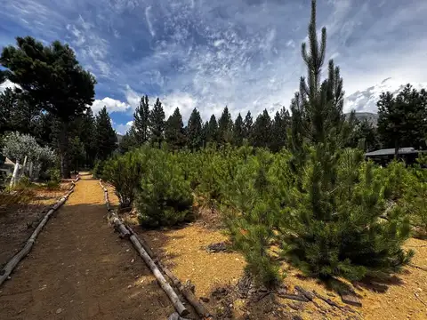 Hermoso Lote en Club de Campo, Dos Valles, Bariloche.