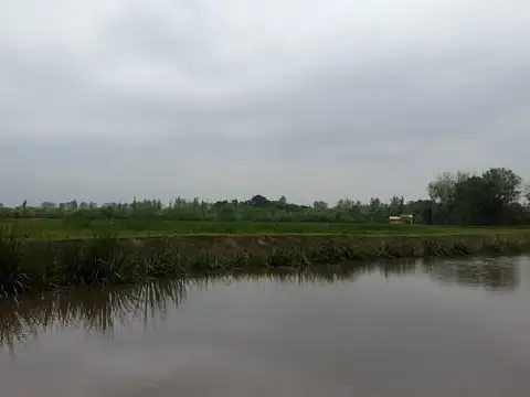 Casa  en Venta en Antequera, Zona Delta, Tigre
