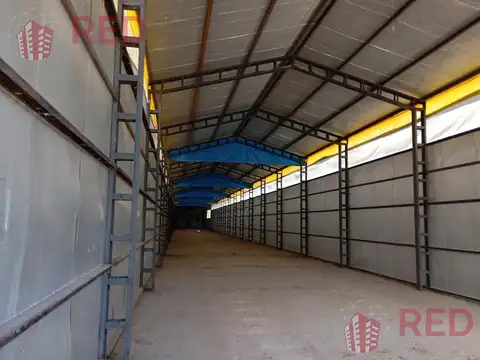 Ruta 65, 3 km de Allen