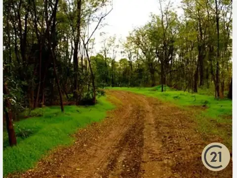 Terreno en Venta en Medal Country club, USD 38.000