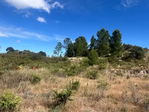 Terreno en Venta de 1200,0 m2