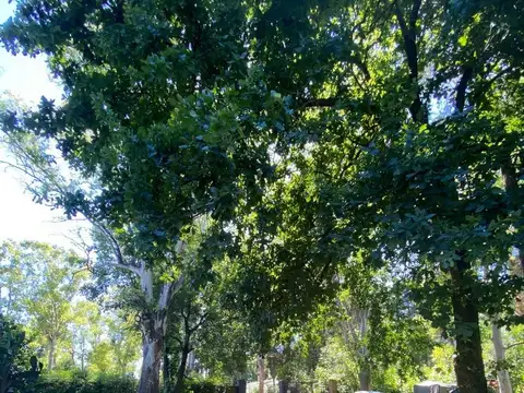 Casa quinta en Barrio la Florida con amplio parque y pileta!