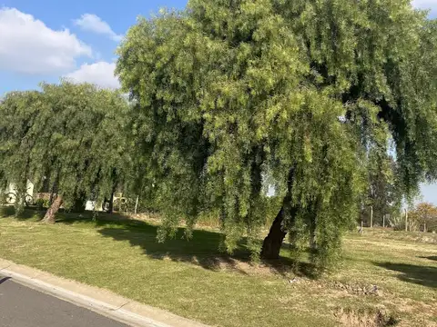 Terreno en Venta en Barrio San Sebastián