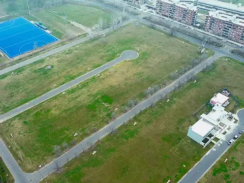 Ingeniero León Miglierini 600