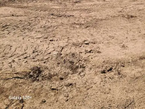 2 Terrenos en Trapiche a metros de la Rotonda