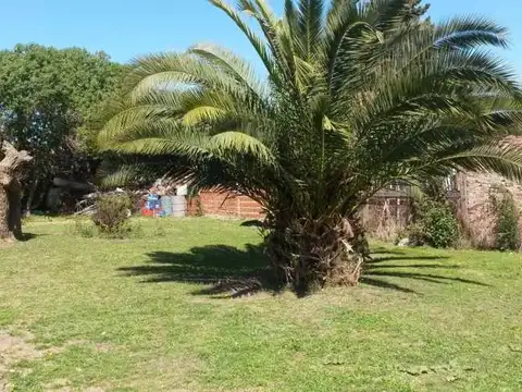 Terreno en Venta 25  mts Frente