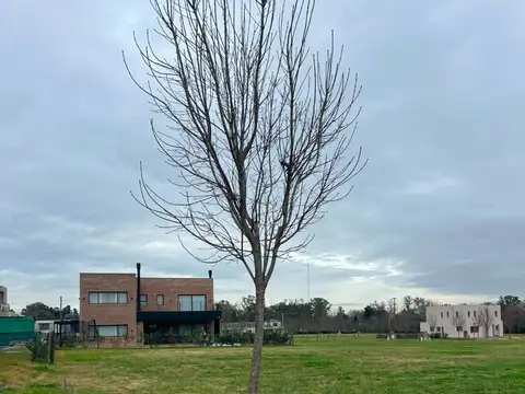 Terreno en Venta de 631,0 m2