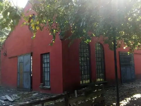 Pedro Goyena 300