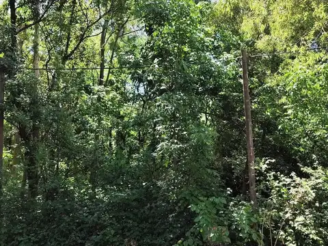 Terreno en Venta de 345,0 m2