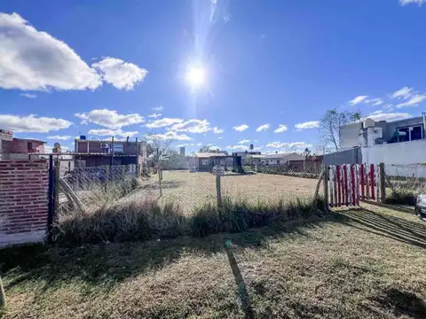 Río Limay 200