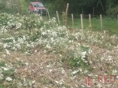 Terreno en Venta en La Cumbrecita, USD 50.000