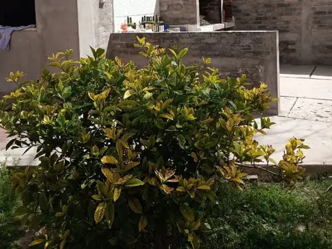 Casa en Venta 51 años