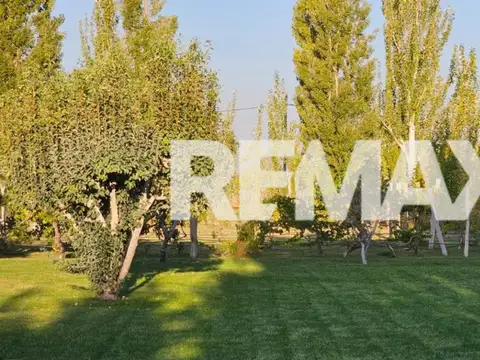 Casa en Alquiler 8 años
