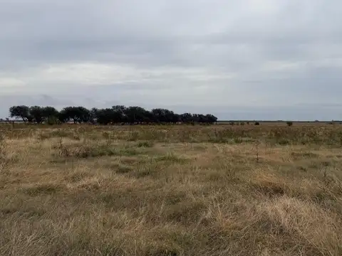 287 hectareas en venta 100% agricolas en Colonia Belgrano
