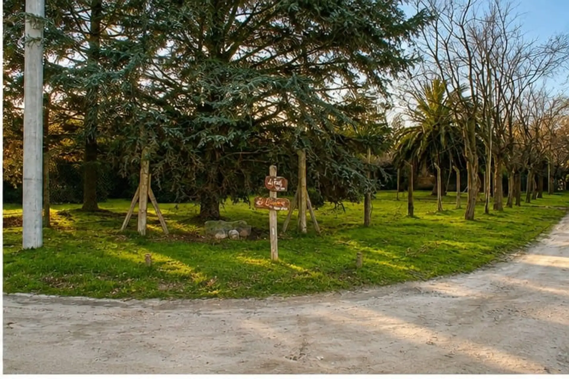 Venta Lote ubicado en la mejor zona de Colinalegre