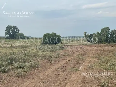 La Reserva. Los Cardales