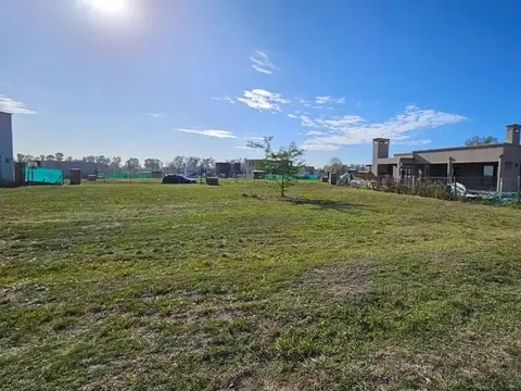 Lote Interno Con Fondo Verde