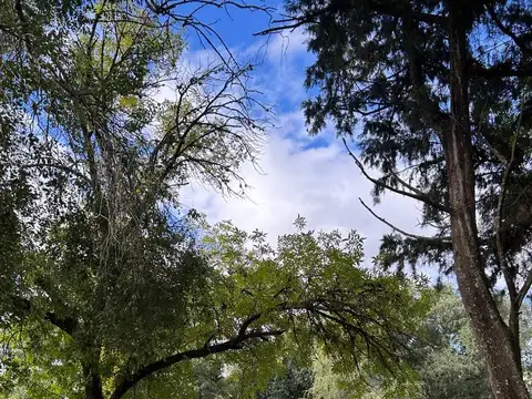 Terreno en Venta de 750,0 m2