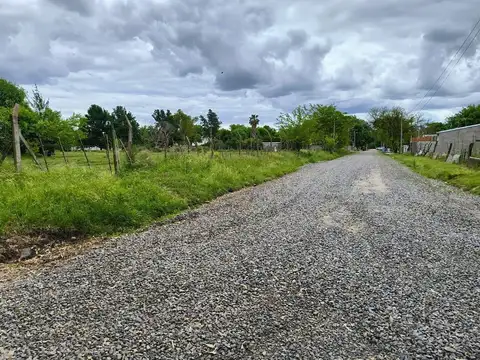 El Chingolo