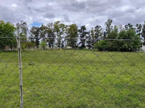 El Chingolo