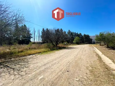 Terreno en Venta 33  mts Fondo