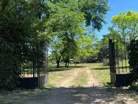 Gervasio Méndez 10500