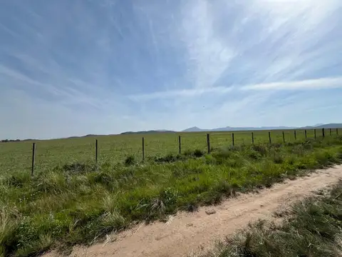 Terreno en Venta de 1600,0 m2