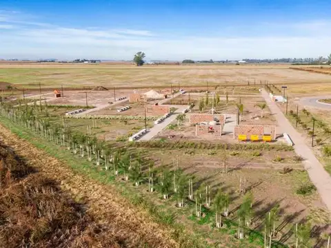 Terreno en Venta en Villa Amelia, USD 15.000