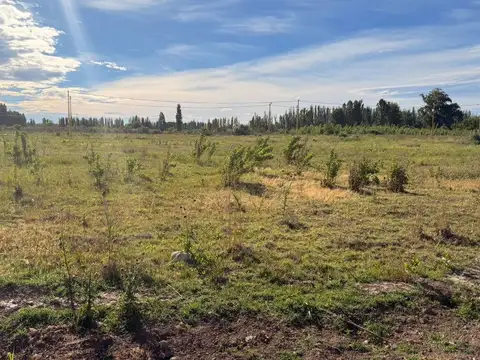 Re/Max vende Terreno en Loteo La Rufina. Cervantes