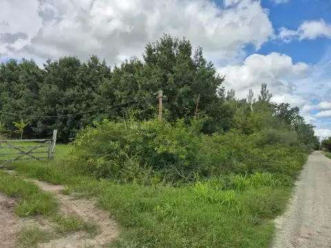 CAMPO EN VENTA ARANA  DE 17,42 HECTÁREAS