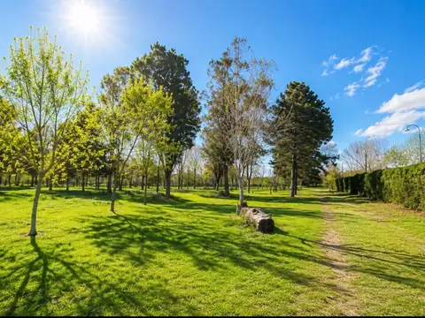 Terreno en Venta en Juan María Gutiérrez, USD 70.000