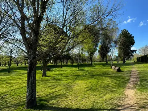 Fincas de San Juan