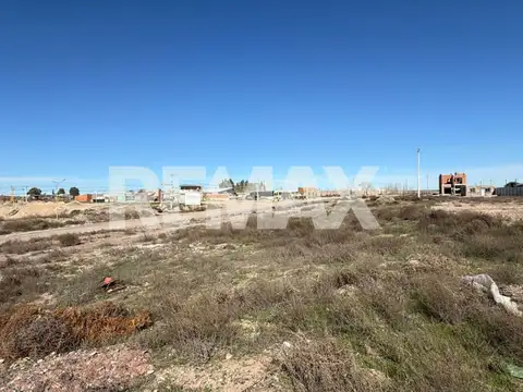 Terreno en Venta en Centenario, USD 33.000