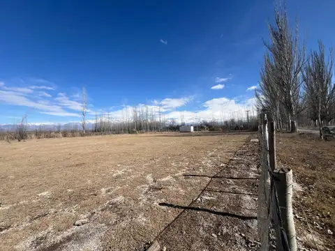 Terreno en Venta en Colonia las Rosas, Tunuyán
