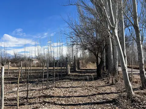 Terreno en Venta en Colonia las Rosas, USD 29.000