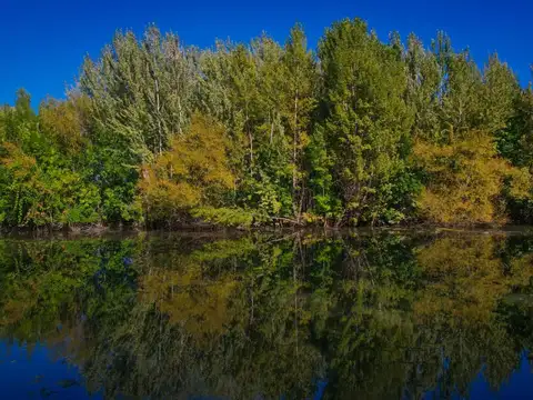 Terreno en Venta de 428,0 m2