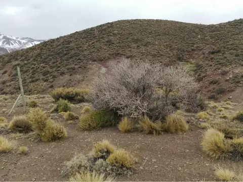 Ruta Provincial 222 km 31,800