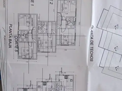 Proyecto 8