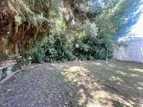 Estanislao del Campo 100