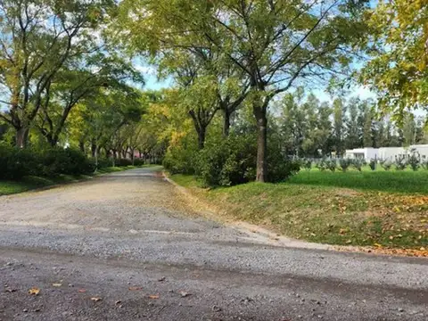 Terreno en Venta de 1000,0 m2