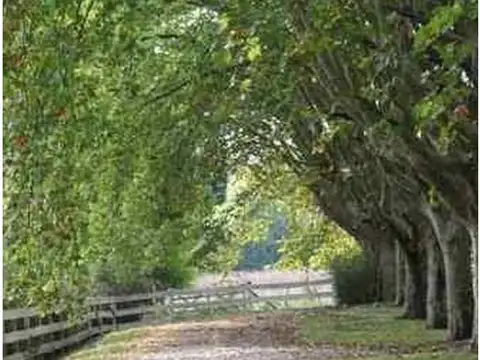 Terreno en Venta de 2100,0 m2