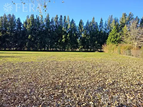 Venta de lote de 1000 m2 en Haras del Sur II