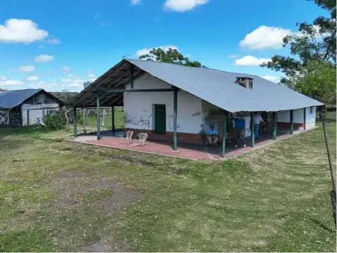 malvinas