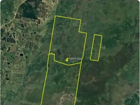 Campo en Venta de 9.999  ha