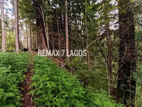 EQUIPO REMAX VENDE EXCELENTE TERRENO CON ARROYO