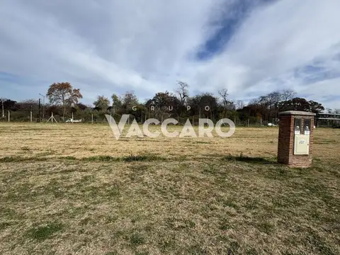 Lote en venta en bella vista Joven!