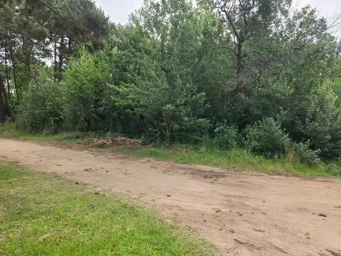 Terreno en Venta de 1087,0 m2